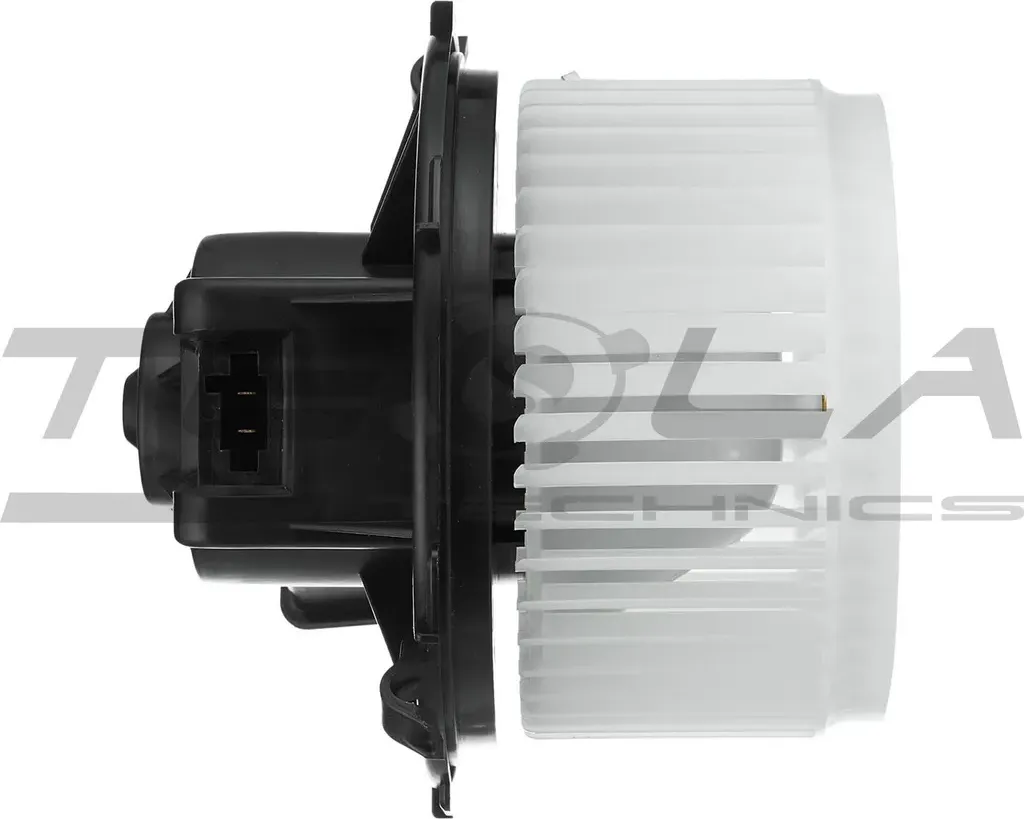 Мотор отопителя салона (Tesla Technics). Артикул TT21071