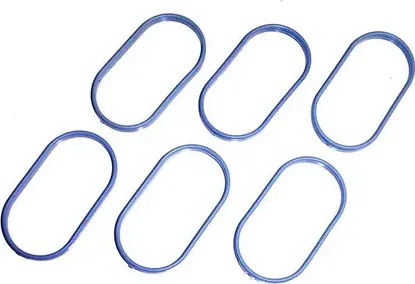 Прокладка впускного коллектора (DNJ). Артикул MG412