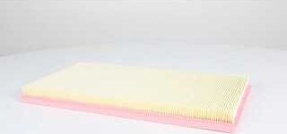 Воздушный фильтр BSG. Артикул BSG 60-135-049