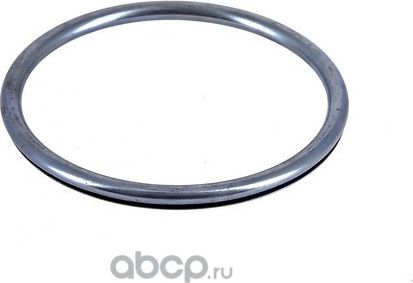 256109 КОЛЬЦО УПЛОТНИТЕЛЬНОЕ 60,8X69,6X4,3 (Fortluft). Артикул 256109