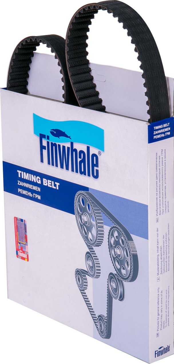 Ремень ГРМ Finwhale. Артикул BD146x24