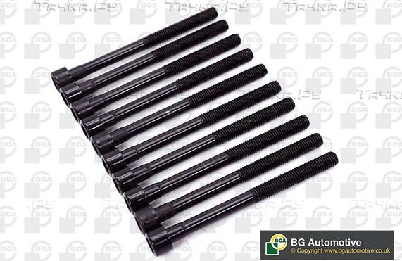 Комплект болтов ГБЦ BGA для Nissan Note I 2006-2012. Артикул BK2311