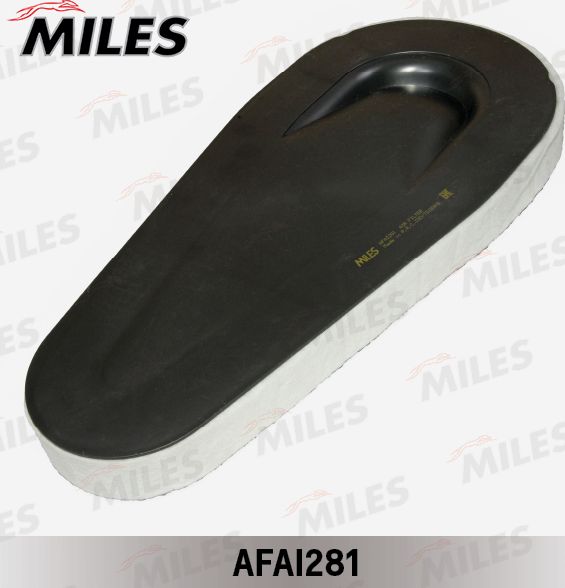 Воздушный фильтр Miles для BMW 7 V (F01/F02/F04) 2008-2012. Артикул AFAI281