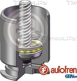 Поршень тормозного суппорта Autofren Seinsa задний для Audi S3 II (8P) 2006-2013. Артикул D02554RK