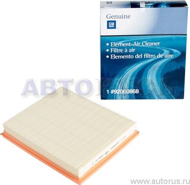 Воздушный фильтр General Motors. Артикул 92060868
