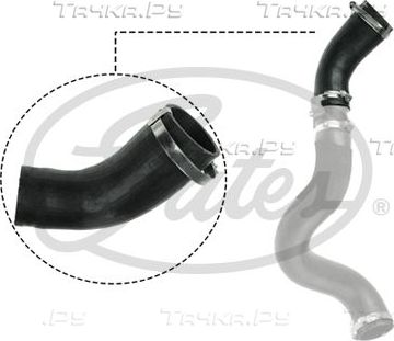 Патрубок интеркулера Gates для Ford Transit Torneo VII 2007-2014. Артикул 09-0616