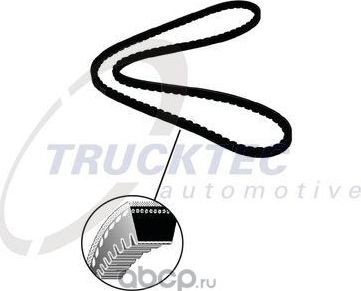 Приводной ремень клиновой Trucktec Automotive. Артикул 03.19.009