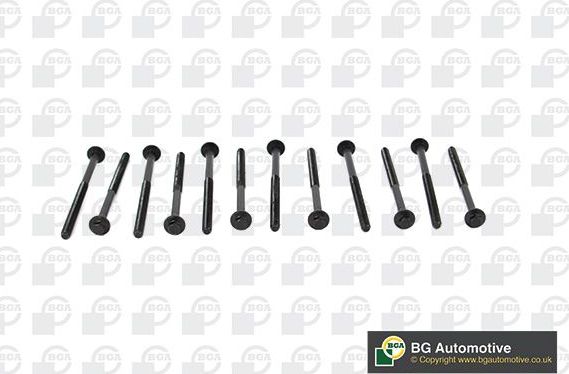 Комплект болтов ГБЦ BGA для Volvo C30 I 2010-2012. Артикул BK2304