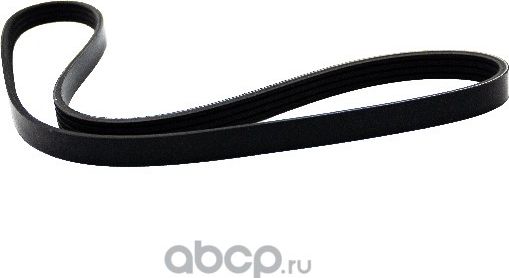 Ремень поликлиновой 4PK885 Kia Rio (00-) (SRS 73058) SURAI Surai. Артикул SRS73058