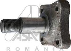 Ступица колеса ASAM. Артикул 30319