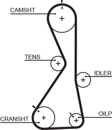 Ремень ГРМ Gates PowerGrip® для Mitsubishi Galant VIII 1996-2003. Артикул 5481XS