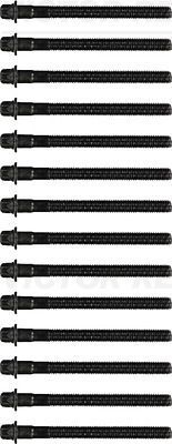 Комплект болтов ГБЦ Victor Reinz. Артикул 14-32101-01