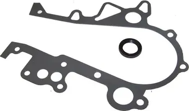 TIMING SEALS (DNJ). Артикул TC1168