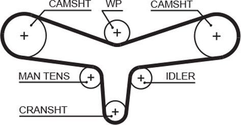Ремень ГРМ Gates PowerGrip® для Audi A6 allroad I (C5) 2000-2005. Артикул 5557XS