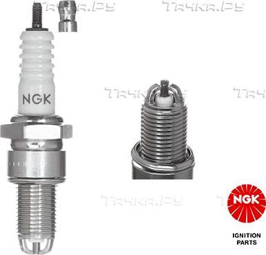 Свеча зажигания NGK для SEAT Ibiza II 1993-2002. Артикул 2287