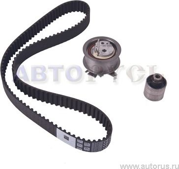 Ремень ГРМ с роликами (комплект) VAG. Артикул 038198119A