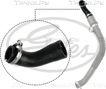 Патрубок интеркулера Gates для Ford Tourneo Custom I 2012-2026. Артикул 09-0622