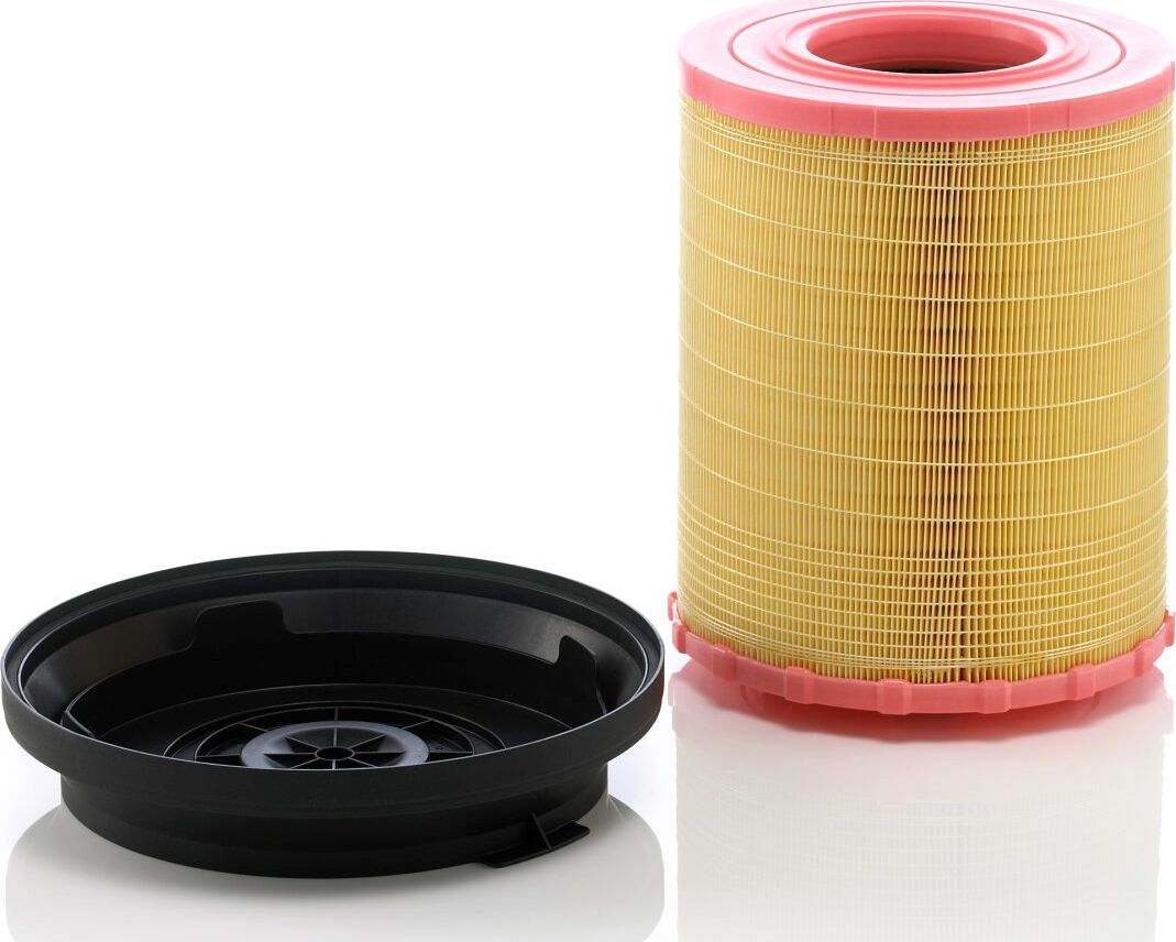 Воздушный фильтр Mann-Filter. Артикул C 29 010 KIT