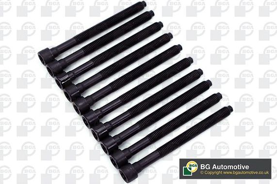 Комплект болтов ГБЦ BGA для SEAT Exeo 2009-2013. Артикул BK3346