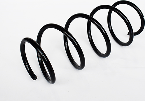 Пружина подвески ASAM. Артикул 73806