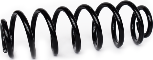 Пружина подвески ASAM. Артикул 73780