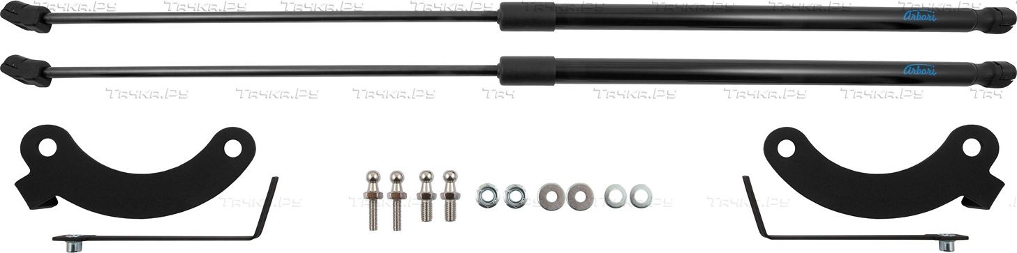 Амортизаторы (упоры) капота Arbori для Honda ZR-V 2022-2026. Артикул ARBORI.HD.014107