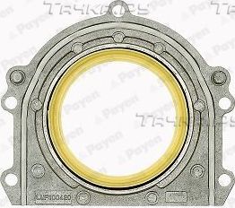 Сальник коленвала Payen (PTFE (Polytetrafluorethylen)). Артикул LK5002