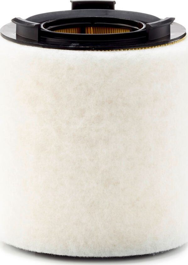 Воздушный фильтр Mann-Filter для Skoda Rapid I 2012-2019. Артикул C 15 008