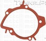 Помпа (водяной насос) Metelli для Ford Mondeo IV 2007-2015. Артикул 24-1110