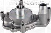 Помпа (водяной насос) Graf для Audi A6 allroad I (C5) 2002-2005. Артикул PA1153