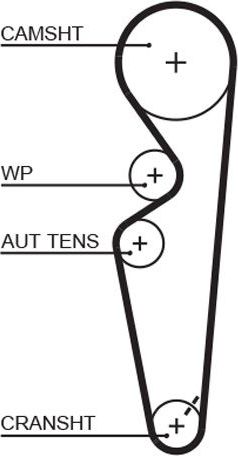 Ремень ГРМ Gates PowerGrip® для Fiat Marea 1996-1999. Артикул 5431XS