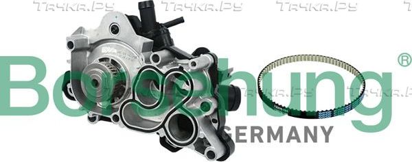 Помпа (водяной насос) Borsehung для Skoda Yeti I 2014-2017. Артикул B11208