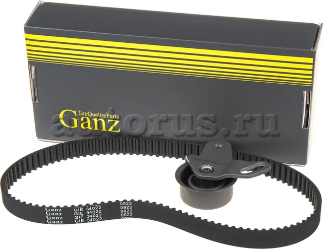 Ремкомплект ГРМ (Ganz) Ganz. Артикул GIE34022