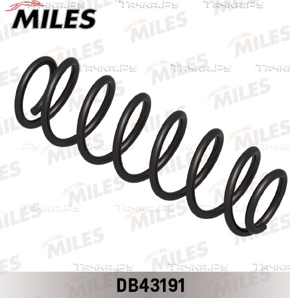 Пружина подвески Miles задняя для Volkswagen Bora 1999-2005. Артикул DB43191