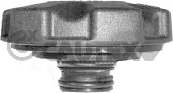 КРЫШКА РАДИАТОРА BMW E81/E82/E87/F20/E90/E91/E92/F07/F10/F11/F01/F02/F03/F04/E84 Cautex (полимерный материал). Артикул 756763