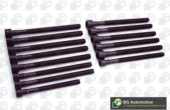 Комплект болтов ГБЦ BGA для BMW 5 V (E60/E61) 2004-2010. Артикул BK3343