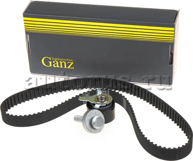 Ремкомплект ГРМ (Ganz) Ganz. Артикул GIE34012