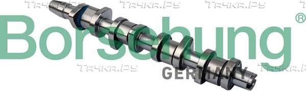 Распредвал Borsehung для Audi A4 III (B7) 2004-2008. Артикул B11323