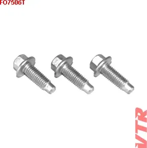 Болт опоры амортизатора комплект (3 штуки) (VTR). Артикул FO7506T