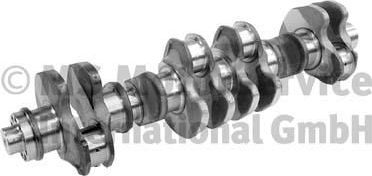 Коленвал BF Germany. Артикул 20050345701