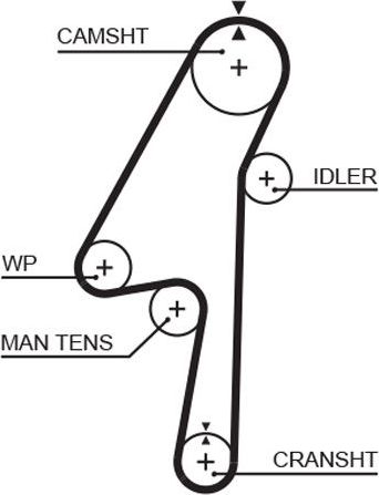 Ремень ГРМ Gates (HNBR (Hydrierter Acryl-Nitril-Butadien-Kautschuk)). Артикул 5580XS