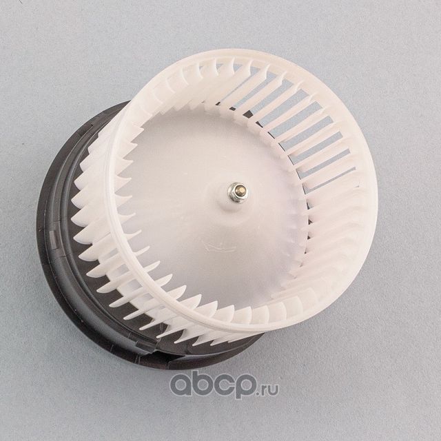 Мотор вентилятора отопителя (Dominant). Артикул NS270225ET10B