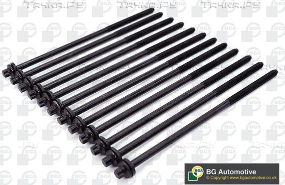 Комплект болтов ГБЦ BGA для Audi R8 I (Typ 42) 2007-2015. Артикул BK0105