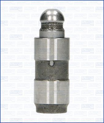 Гидрокомпенсатор Ajusa для BMW 5 V (E60/E61) 2007-2010. Артикул 85009900