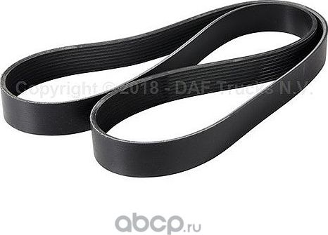 Приводной ремень поликлиновой DAF. Артикул 1884148