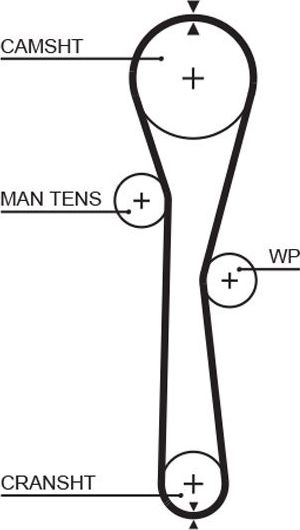Ремень ГРМ Gates PowerGrip® для Renault Sandero II 2013-2026. Артикул 5577XS