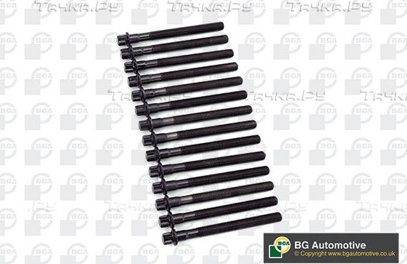 Комплект болтов ГБЦ BGA для BMW X5 I (E53) 2000-2002. Артикул BK4327