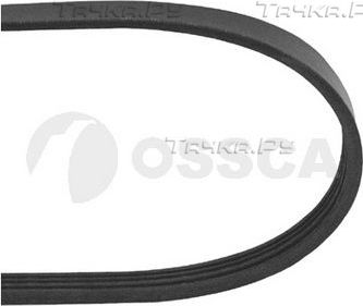 Приводной ремень поликлиновой OSSCA для Kia Carens III (RP) 2013-2026. Артикул 10473