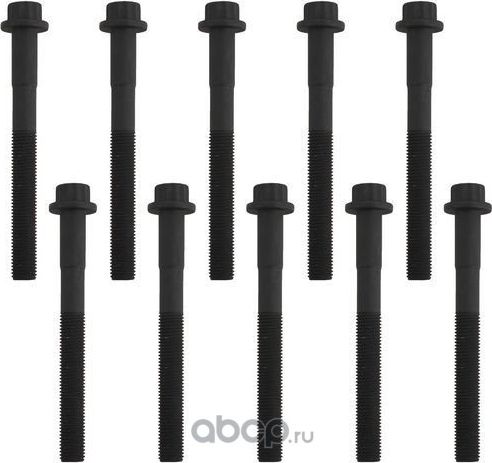 Комплект болтов головки блока цилиндров (Zikmar). Артикул Z16564R