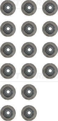 Комплект болтов ГБЦ Victor Reinz. Артикул 14-10863-01